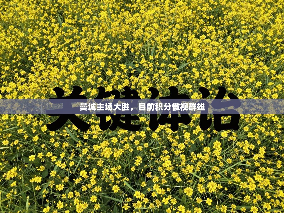 曼城主场大胜，目前积分傲视群雄